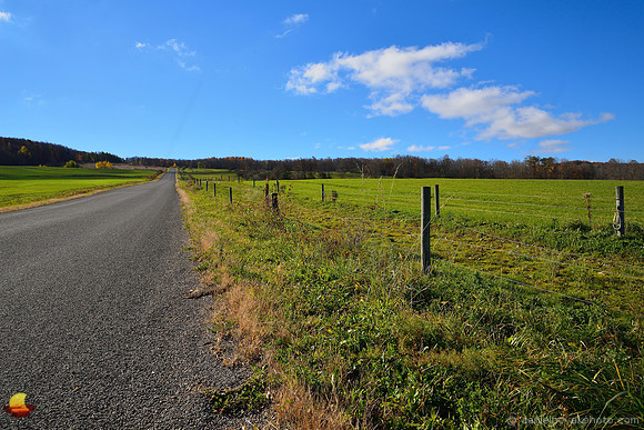 Caneadea Country Road