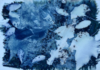 Leaves 2, Wet Cyanotype Photogram, Batch 26