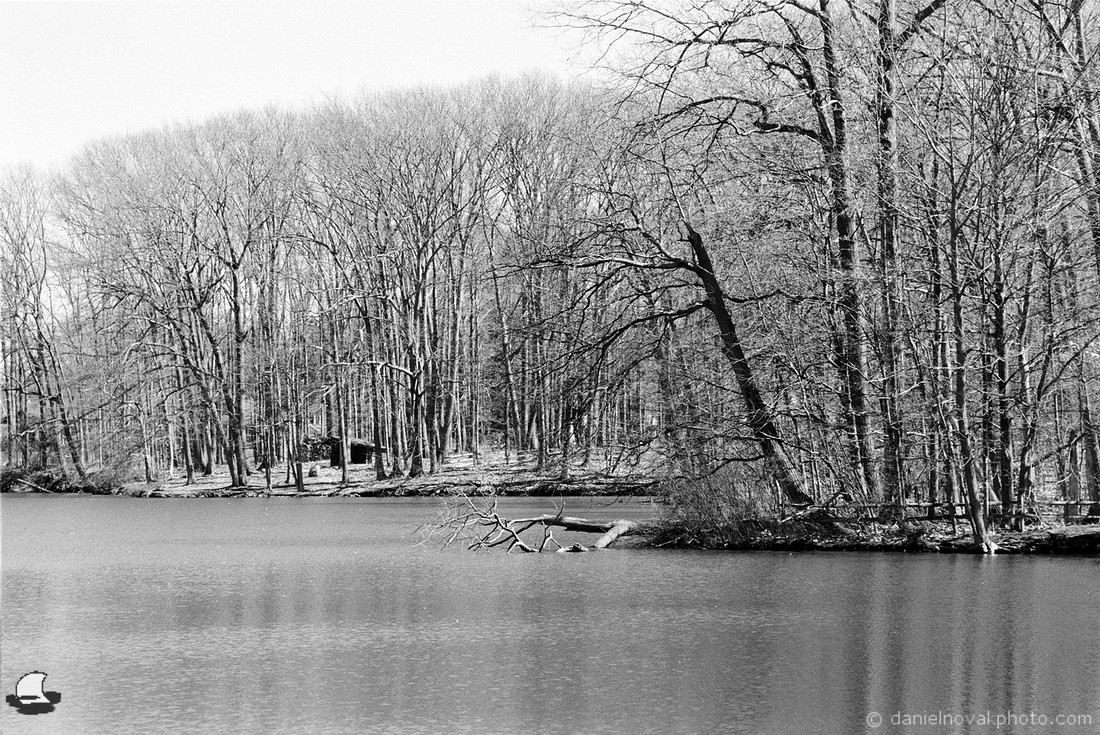 Into the Lake, Orchard Park, NY Photography