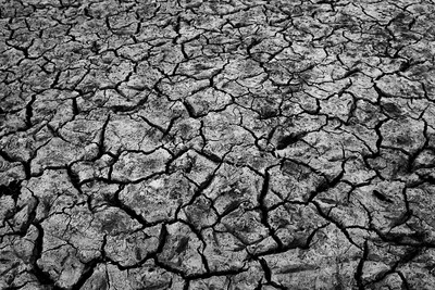 Land soil cracks in Buffalo, New York (NY) showing how dry the summer 2012 was.