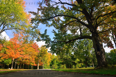 A colorful alley in Emery County Park, South Wales, New York (NY). Fall / Autumn foliage is already showing in this direction.