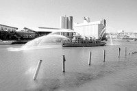 Edward M Cotter Entering, 125th Anniversary, Buffalo, NY. Photographed  with a 35mm Nikon FE2 on Agent Shadow 400 black and white negative film. Developed in D-23.