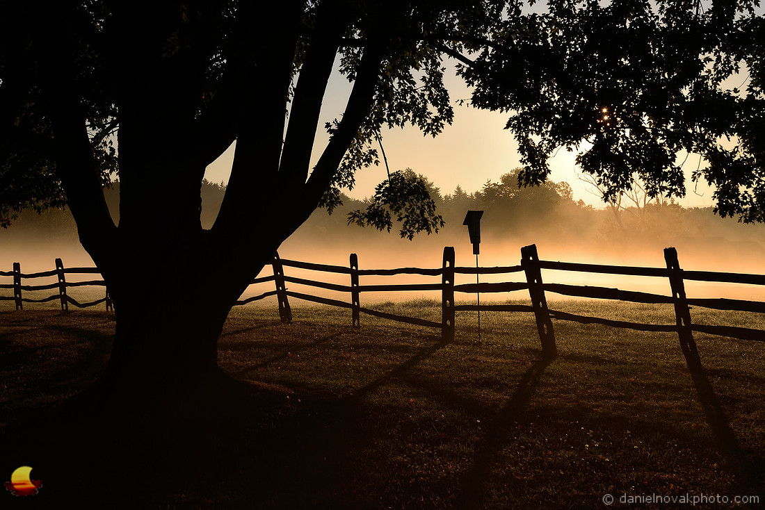 Birdhouse in Fog, Knox Farm, East Aurora, NY