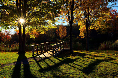 Fall - autumn sunrise over Birdsong Park nature trail boardwalk, Orchard Park, New York (NY).