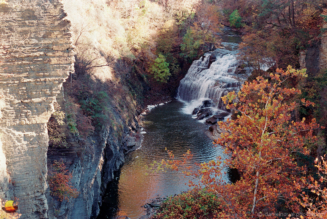 Forest Falls, Fall Creek, Ithaca, NY