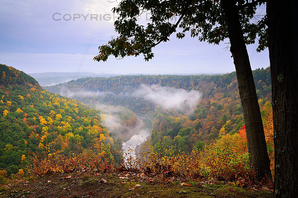 Foggy Daybreak - Dawn - Sunrise over Genesee River, Letchworth State Park, New York (NY).