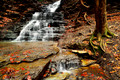 Eternal Flame Falls Ravine and Creek in Chestnut Ridge Park in the Fall - Autumn, Orchard Park, New York (NY).