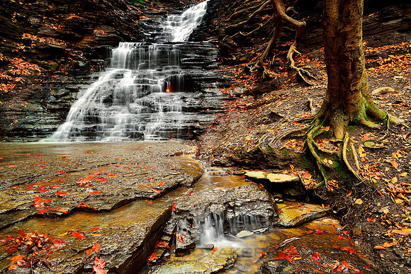 Eternal Flame Falls Ravine and Creek in Chestnut Ridge Park in the Fall - Autumn, Orchard Park, New York (NY).