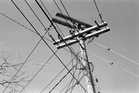 Utility Pole Top, Yates Park, Orchard Park, NY. Photographed with a 35mm Pentax Spotmatic F on Ilford XP2 black and white film.
