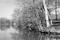 Green Lake, Yates Park, Orchard Park, NY. Photographed with a 35mm Pentax Spotmatic F on Ilford XP2 black and white film.