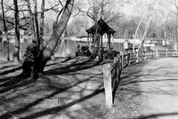 Along the Fence at Green Lake, Yates Park, Orchard Park, NY. Photographed with a 35mm Pentax Spotmatic F on Ilford XP2 black and white film.