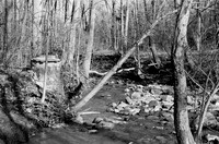 Rocky Smoke Creek, Yates Park, Orchard Park, NY. Photographed with a 35mm Pentax Spotmatic F on Ilford XP2 black and white film.