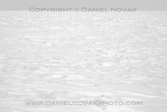 Lake Erie - Vast Frozen Nothing