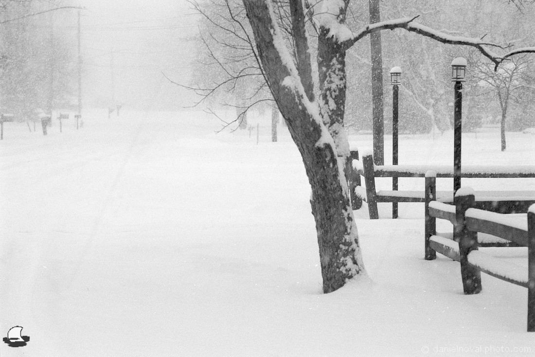 Winter Living, Winter in Orchard Park, NY