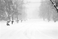 Snowed In Road in Winter, Orchard Park, NY. Photographed with a vintage 35mm Nikon FE2 camera on Fuji Acros 100 black and white negative film, developed in D-23 developer.