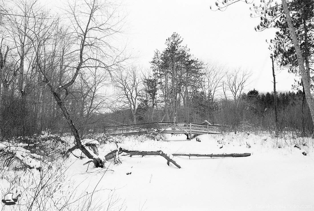 Bridge and Log Bridge, Winter Reinstein Woods, Depew, NY
