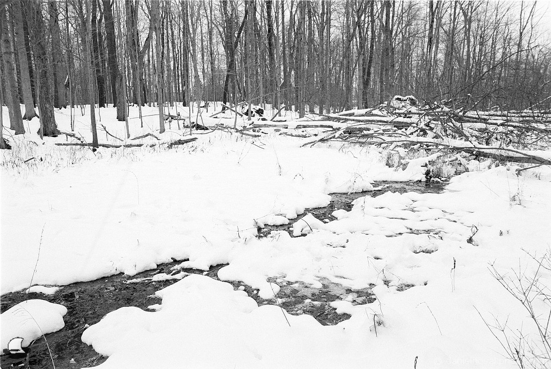 Patches of Water, Winter Reinstein Woods, Depew, NY