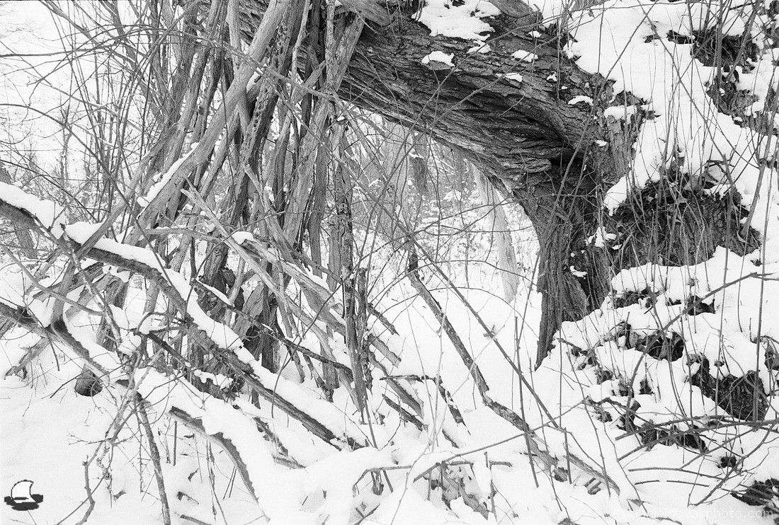 Hideaway, Birdsong Park in Winter, Orchard Park, NY