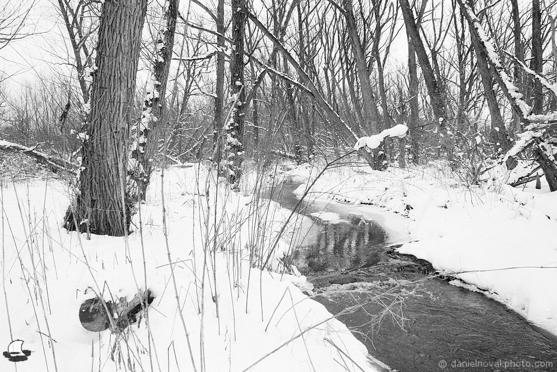 By the Middle Creek, Birdsong Park in Winter, Orchard Park, NY