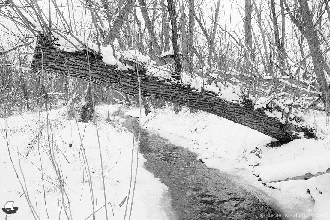 Over Middle Creek, Birdsong Park in Winter, Orchard Park, NY