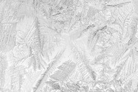 Doorway Glass Pane Ice Pattern, One