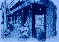 New Paltz Bookstore, Rough Texture Cyanotype, Batch 24. New Paltz, New York.