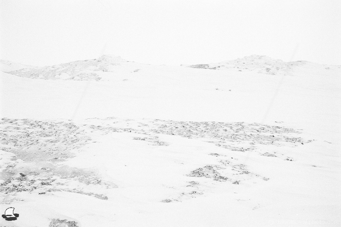 Shoreline Ice & Snow Mounds, Frozen Lake Erie, Hamburg Beach, NY