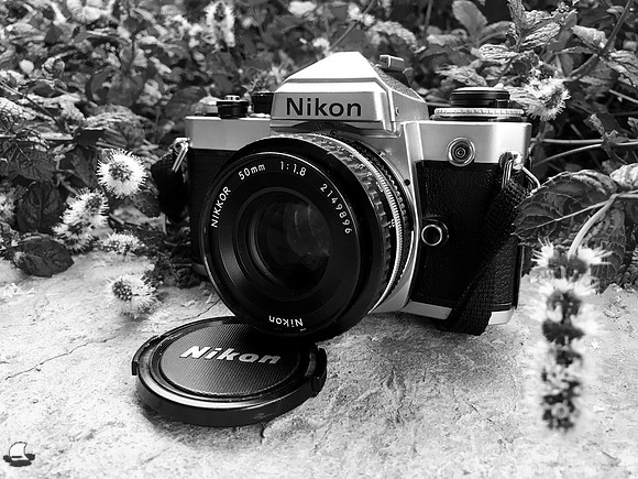 Nikon FE, Black and White