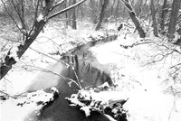 Entrance Creek, West. Birdsong Park in Winter, Orchard Park, NY. Photographed with a vintage 35mm Asahi Pentax Spotmatic F camera on Ultrafine Finesse 400 black and white negative film.