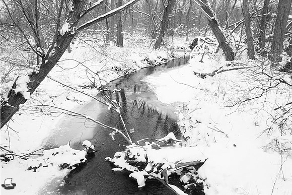 Entrance Creek, West. Birdsong Park in Winter, Orchard Park, NY. Photographed with a vintage 35mm Asahi Pentax Spotmatic F camera on Ultrafine Finesse 400 black and white negative film.
