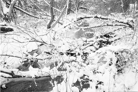 Entrance Creek, East. Birdsong Park in Winter, Orchard Park, NY. Photographed with a vintage 35mm Asahi Pentax Spotmatic F camera on Ultrafine Finesse 400 black and white negative film.