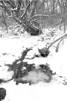 Looking in the Mirror. Birdsong Park in Winter, Orchard Park, NY. Photographed with a vintage 35mm Asahi Pentax Spotmatic F camera on Ultrafine Finesse 400 black and white negative film.