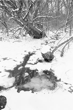 Looking in the Mirror. Birdsong Park in Winter, Orchard Park, NY. Photographed with a vintage 35mm Asahi Pentax Spotmatic F camera on Ultrafine Finesse 400 black and white negative film.
