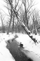 Middle Creek A Gate. Birdsong Park in Winter, Orchard Park, NY. Photographed with a vintage 35mm Asahi Pentax Spotmatic F camera on Ultrafine Finesse 400 black and white negative film.