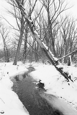 Middle Creek A Gate. Birdsong Park in Winter, Orchard Park, NY. Photographed with a vintage 35mm Asahi Pentax Spotmatic F camera on Ultrafine Finesse 400 black and white negative film.