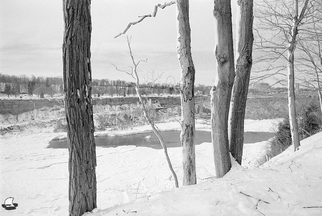 The Gorge behind Trees, Winter at Niagara Falls