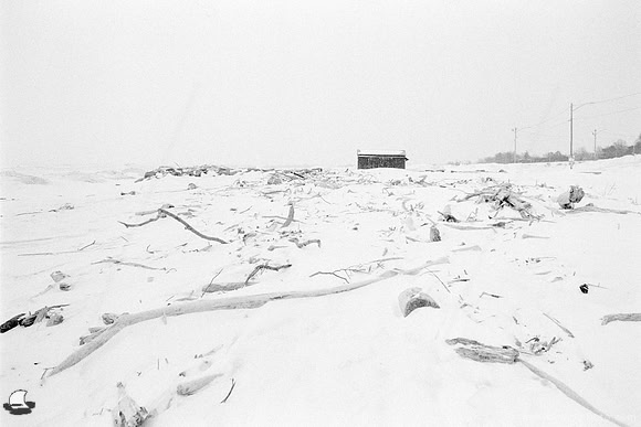 Desolation, Hamburg Beach and Frozen Lake Erie in Winter. Vintage 35mm Asahi Pentax Spotmatic F, Ultrafine Xtreme UFX400 black and white negative film, D-23. developer.