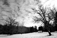 Chestnut Ridge County Park under blanket of snow in Winter, Orchard Park - Buffalo, New York (NY).