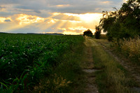 Dirt Road to Sunset, Moravian Fields, Czech Republic