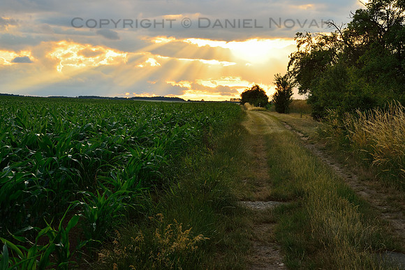 Dirt Road to Sunset, Moravian Fields, Czech Republic