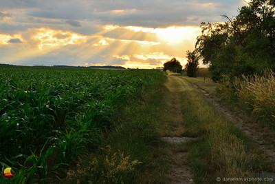 Field Path at Sunset, Moravian Countryside, Czech Republic