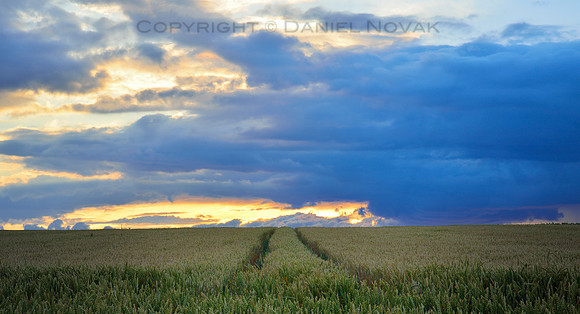 Tractor Tracks in the Field Leading to Dramatic Clouds at Sunset