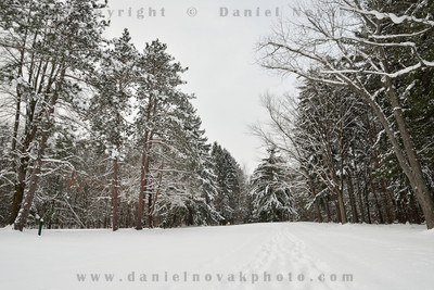 Early morning winter wonderland in Emery Park, East Aurora - Buffalo, New York (NY). Snow on the ground and trees.