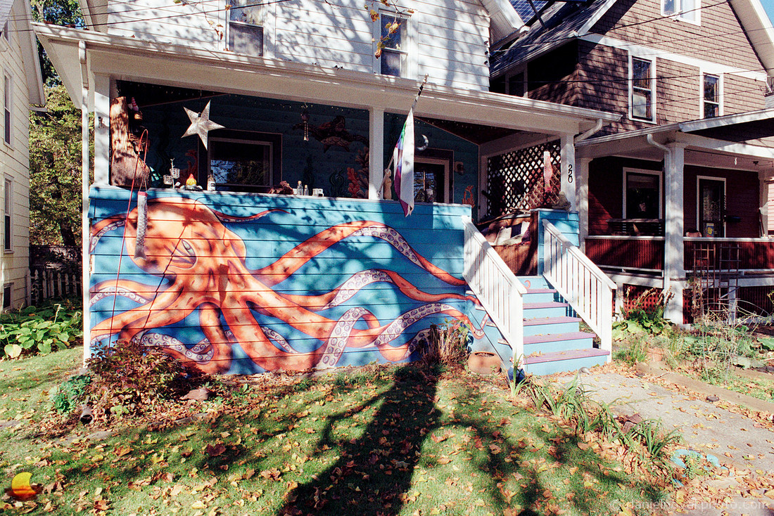 Octopus, Fall in Ithaca, NY