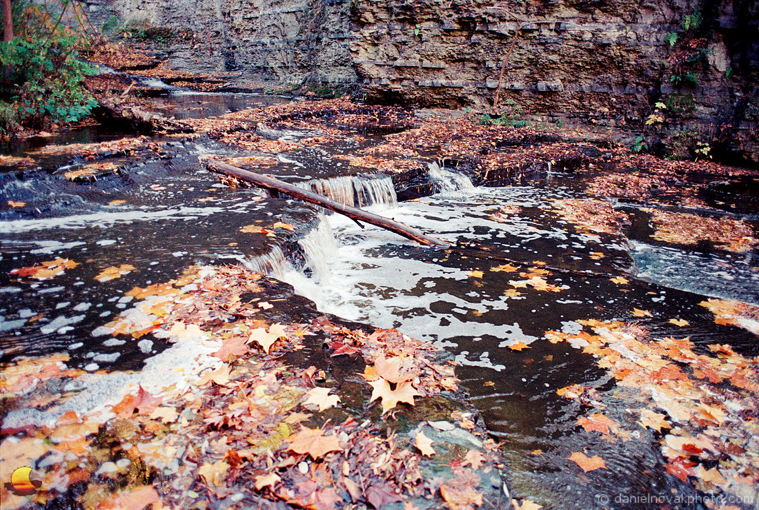 Fall Leaves at Cascadilla Creek, Fall in Ithaca, NY