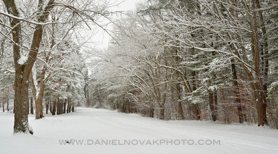 Frosty Alley at Emery Park, Winter Dozen, South Wales, NY.
