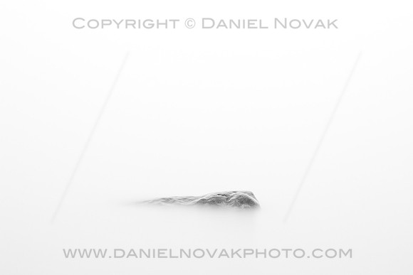 A black and white minimalism of a single rock in Lake Erie surrounded by fog, Eighteen Mile Creek Mouth, New York (NY).