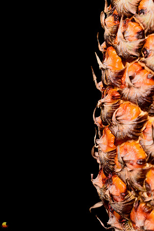 Pineapple Profile