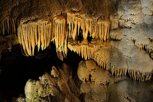 Stalactite Fish Market - Luray Caverns, Shenandoah Valley, Virginia
