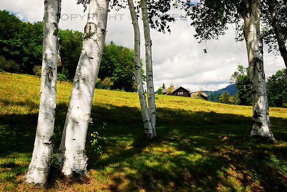 House in the Mountains through Birch Trees, Green Mountains in Summer, Vermont (VT).